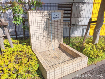 nOώʐ^@-